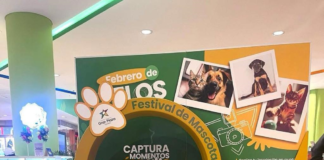 En una reciente visita a Colombia, el Escuadrón Canino de Riobamba llevó a cabo una enriquecedora jornada de concientización enfocada en la educación y el cuidado responsable de los perros.