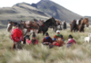 Del 19 al 22 de marzo de 2025, Tungurahua será el epicentro de un importante evento enfocado en la conservación del agua y la producción sostenible.