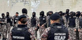 Las cárceles de Ecuador no solo son escenarios de violencia y hacinamiento, sino también de abandono. Pero esta vez, no son los presos quienes claman atención, sino los guías penitenciarios, quienes trabajan entre el peligro. Tras el asesinato de un compañero en la Penitenciaría del Litoral el 13 de marzo, el gremio ha dicho basta.
