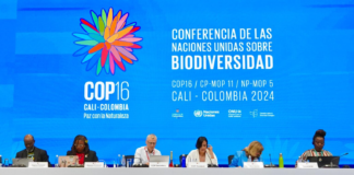 La Conferencia de Biodiversidad de la ONU (COP16.2) concluyó en Roma con un acuerdo clave sobre la financiación de la biodiversidad, estableciendo una hoja de ruta hasta 2030 y una decisión en 2028 para definir su continuidad.