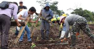 En una iniciativa nacional para restaurar ecosistemas degradados y fortalecer la resiliencia ambiental, el pasado 21 de marzo se llevó a cabo una jornada simultánea de reforestación en seis provincias del país.