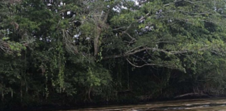 El Comité de Operaciones de Emergencia (COE) del Municipio de Esmeraldas declaró emergencia ambiental debido a un derrame de petróleo provocado por la rotura del Sistema de Oleoducto Transecuatoriano (SOTE), presuntamente a causa de un deslizamiento de tierra.
