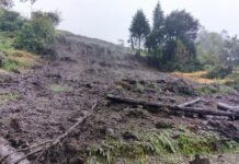 Las intensas precipitaciones registradas en los últimos días han provocado deslizamientos de tierra en múltiples sectores del Cantón Chunchi, generando preocupación entre los habitantes y las autoridades locales.