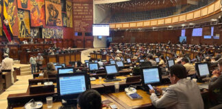 La Contraloría General del Estado llevará a cabo una auditoría a las declaraciones patrimoniales de los 137 asambleístas, así como de sus cónyuges y convivientes en unión de hecho, en un examen que comenzará el 14 de abril, justo después de la segunda vuelta electoral presidencial.