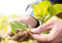 El Gobierno Nacional entregó más de 967.000 dólares a los primeros 1.209 productores agropecuarios que resultaron afectados por la temporada invernal.