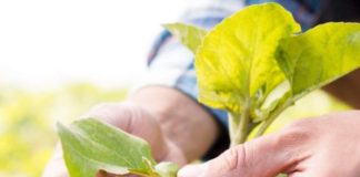 El Gobierno Nacional entregó más de 967.000 dólares a los primeros 1.209 productores agropecuarios que resultaron afectados por la temporada invernal.