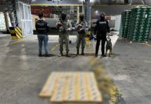 A la 01h30 del 8 de abril, un contenedor que tenía como destino final Bélgica fue interceptado en el puerto marítimo de Guayaquil durante un operativo antidrogas. Oculta entre carga legal, la Policía halló una cantidad no especificada de droga, camuflada con sellos aparentemente oficiales.
