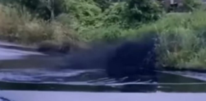 Un nuevo desastre ambiental afectó a la Amazonía del Ecuador esta semana. La ruptura de una tubería provocó un derrame de crudo en la parroquia Taracoa, cantón Francisco de Orellana, informó Petroecuador este 17 de abril de 2025.