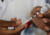 Tras la confirmación del primer caso de fiebre amarilla en Ecuador durante 2025, el Ministerio de Salud Pública (MSP) ha difundido información clave sobre esta enfermedad viral, en medio de la preocupación regional por el brote que afecta actualmente a Colombia.