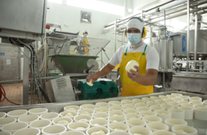 El interés por una alimentación más saludable sigue en aumento a nivel mundial. De acuerdo con un estudio de Innova Market Insights, el 16% de los consumidores opta por productos con beneficios nutricionales específicos para su salud, lo que ha llevado a las marcas a innovar y diversificar sus portafolios.