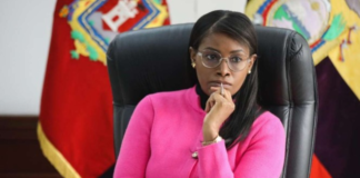 Un pronunciamiento jurídico emitido por la Procuraduría General del Estado (PGE), el 26 de febrero de 2025, es la base jurídica para la prorrogación de funciones de la fiscal Diana Salazar. La funcionaria puede seguir en el cargo de manera indefinida, hasta que el Consejo de Participación Ciudadana (CPCCS) nombre a su reemplazo.