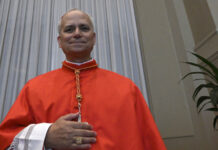 En un momento cargado de simbolismo y emoción, la Iglesia Católica tiene un nuevo líder espiritual: el cardenal Robert Prevost ha sido elegido como el papa número 267 y será conocido como León XIV.
