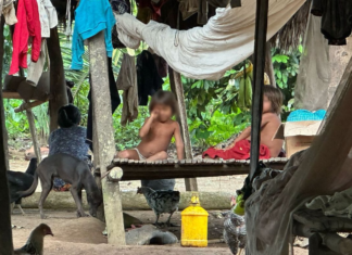 Tres menores de edad provenientes del cantón Taisha han sido diagnosticados con leptospirosis, una enfermedad bacteriana que se transmite por contacto con agua o suelos contaminados con orina de animales infectados, especialmente roedores.