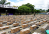 Ecuador se consolida como un eslabón clave en el mapa global del narcotráfico. En 2024, el país alcanzó un récord de 252 toneladas de cocaína incautadas, la segunda cifra más alta de América Latina, solo detrás de Colombia (279 toneladas) y muy por encima de Panamá (99 toneladas).