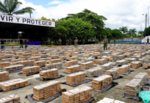 Ecuador se consolida como un eslabón clave en el mapa global del narcotráfico. En 2024, el país alcanzó un récord de 252 toneladas de cocaína incautadas, la segunda cifra más alta de América Latina, solo detrás de Colombia (279 toneladas) y muy por encima de Panamá (99 toneladas).
