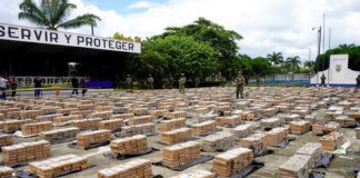 Ecuador se consolida como un eslabón clave en el mapa global del narcotráfico. En 2024, el país alcanzó un récord de 252 toneladas de cocaína incautadas, la segunda cifra más alta de América Latina, solo detrás de Colombia (279 toneladas) y muy por encima de Panamá (99 toneladas).