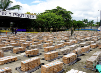 Ecuador se consolida como un eslabón clave en el mapa global del narcotráfico. En 2024, el país alcanzó un récord de 252 toneladas de cocaína incautadas, la segunda cifra más alta de América Latina, solo detrás de Colombia (279 toneladas) y muy por encima de Panamá (99 toneladas).