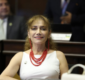 Este 15 de mayo, el Tribunal Contencioso Electoral (TCE) ha admitido a trámite una denuncia interpuesta por Juan Esteban Guarderas, exconsejero del Consejo de Participación Ciudadana y Control Social (CPCCS), en contra de la legisladora Patricia Núñez Ramos, representante de la provincia de Chimborazo por el movimiento Revolución Ciudadana.