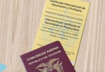 Ecuador exigirá carnet de vacunación contra la fiebre amarilla a quienes ingresen al país desde Brasil, Colombia, Perú y Bolivia. Esto ante el alza de casos. ¿Qué pasa con los ecuatorianos que salen y entran del país?