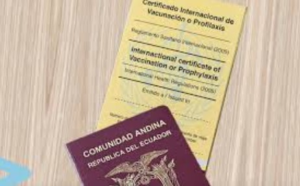 Ecuador exigirá carnet de vacunación contra la fiebre amarilla a quienes ingresen al país desde Brasil, Colombia, Perú y Bolivia. Esto ante el alza de casos. ¿Qué pasa con los ecuatorianos que salen y entran del país?