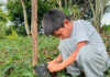 En un esfuerzo por fortalecer la educación ambiental desde temprana edad, la comunidad La Libertad, ubicada en la parroquia Madre Tierra, fue escenario de una significativa jornada ecológica protagonizada por estudiantes de la Escuela Andrés Bello. La actividad incluyó experiencias educativas únicas y acciones concretas para la conservación de la biodiversidad de la provincia.