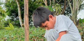 En un esfuerzo por fortalecer la educación ambiental desde temprana edad, la comunidad La Libertad, ubicada en la parroquia Madre Tierra, fue escenario de una significativa jornada ecológica protagonizada por estudiantes de la Escuela Andrés Bello. La actividad incluyó experiencias educativas únicas y acciones concretas para la conservación de la biodiversidad de la provincia.