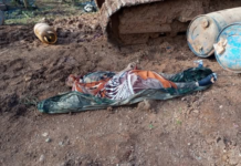 Once soldados ecuatorianos fueron asesinados en una emboscada en Alto Punino, un enclave selvático de difícil acceso en la provincia de Orellana.