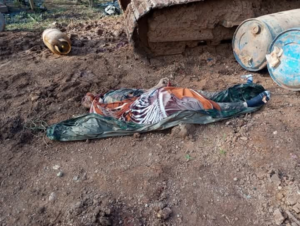 Once soldados ecuatorianos fueron asesinados en una emboscada en Alto Punino, un enclave selvático de difícil acceso en la provincia de Orellana.