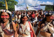 Las comunidades Waorani, asentadas en la provincia de Pastaza, se han convertido en un símbolo de resistencia indígena frente al avance de la explotación petrolera en la Amazonía ecuatoriana.
