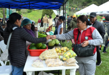 A los pies del majestuoso volcán Tungurahua, el pasado 18 de mayo, la comunidad de El Manzano celebró con entusiasmo la Primera Feria Agroturística, un evento que marcó un hito en el impulso al turismo rural y al emprendimiento comunitario en esta zona del cantón Penipe.