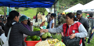 A los pies del majestuoso volcán Tungurahua, el pasado 18 de mayo, la comunidad de El Manzano celebró con entusiasmo la Primera Feria Agroturística, un evento que marcó un hito en el impulso al turismo rural y al emprendimiento comunitario en esta zona del cantón Penipe.