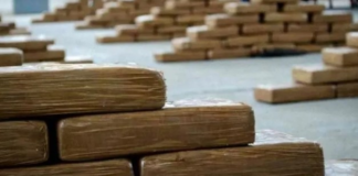 Tras la detención de Dritan Gjika, capo de la mafia en Ecuador, capturado en Emiratos Árabes, se reactiva el caso Pampa, en el que la Fiscalía General del Estado y la Policía Nacional, en coordinación con la Policía española, investigan la existencia de una red narcodelictiva liderada por Dritan Gjika de nacionalidad albanesa.