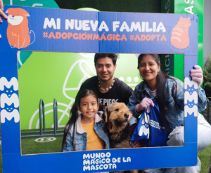 Mundo Mágico de la Mascota presenta “Sugar Doggies”, una innovadora campaña de adopción que busca cambiar el destino de los peludos mayores. La iniciativa convierte a estos perros en verdaderos “sponsors” gracias al respaldo de marcas aliadas que ofrecen descuentos, premios y productos gratuitos para los nuevos tutores.