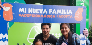 Mundo Mágico de la Mascota presenta “Sugar Doggies”, una innovadora campaña de adopción que busca cambiar el destino de los peludos mayores. La iniciativa convierte a estos perros en verdaderos “sponsors” gracias al respaldo de marcas aliadas que ofrecen descuentos, premios y productos gratuitos para los nuevos tutores.