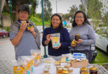 La ciudad de Ambato se convirtió en el corazón de la apicultura ecuatoriana al albergar la Primera Feria Nacional de Apicultura – APIMIEL 2025, un evento que reunió a más de 30 productores de miel de todo el país.