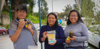 La ciudad de Ambato se convirtió en el corazón de la apicultura ecuatoriana al albergar la Primera Feria Nacional de Apicultura – APIMIEL 2025, un evento que reunió a más de 30 productores de miel de todo el país.