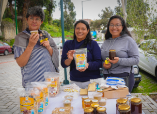 La ciudad de Ambato se convirtió en el corazón de la apicultura ecuatoriana al albergar la Primera Feria Nacional de Apicultura – APIMIEL 2025, un evento que reunió a más de 30 productores de miel de todo el país.