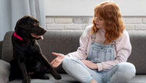 El abandono de mascotas es una problemática creciente en Ecuador. De acuerdo con datos de la Asociación de Protección y Bienestar Animal (APBA), se estima que más de 500,000 perros viven en situación de calle a nivel nacional.