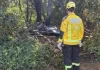 Una mañana que prometía ser turística y tranquila en la ciudad de Praia Grande, al sur de Brasil, terminó en tragedia este sábado, cuando un globo aerostático con 21 personas a bordo se estrelló, dejando al menos ocho muertos y varios heridos, según confirmaron autoridades locales.