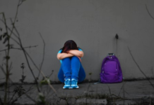 Un estudio revela que la violencia de género se ha normalizado en los espacios universitarios, mientras la impunidad y la falta de respuesta institucional profundizan la vulnerabilidad de los estudiantes.