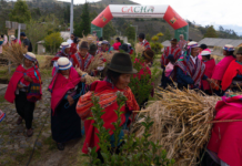 El Inti Raymi 2025 se puso de manifiesto en el alma de la comunidad en el Centro Turístico Comunitario Pucará Tambo, un lugar que ha dejado de ser solo un destino y se ha consolidado como un espacio de resistencia cultural.