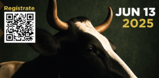 En el marco del Día Internacional contra las Exportaciones de Ganado en Pie, representantes de las organizaciones Victoria Animal, Proyecto Animal EC y Proyecto ALA - Animales Latinoamérica han convocado a un evento sin precedentes en Ecuador: un cine foro titulado “Exportando Crueldad”, que busca generar conciencia sobre los impactos éticos, económicos y ambientales de esta práctica.