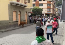 Este 28 de junio de 2025, en el marco de las festividades de San Pedro, patrón del cantón Alausí, se desarrolló una de las actividades más esperadas por la ciudadanía el tradicional encierro taurino. En horas de la mañana, las principales calles del cantón se convirtieron en escenario de emoción, adrenalina y tradición viva, cuando decenas de jóvenes salieron a enfrentar con valentía al ganado bravo.