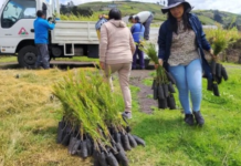 Con una inversión anual cercana a los 2 millones 700 mil dólares, el Gobierno Provincial de Tungurahua impulsa una estrategia integral de conservación de páramos y desarrollo sostenible que abarca 42.000 hectáreas de ecosistemas de altura y beneficia directamente a más de 15.000 familias que habitan en zonas de amortiguamiento.