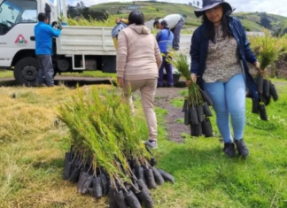 Con una inversión anual cercana a los 2 millones 700 mil dólares, el Gobierno Provincial de Tungurahua impulsa una estrategia integral de conservación de páramos y desarrollo sostenible que abarca 42.000 hectáreas de ecosistemas de altura y beneficia directamente a más de 15.000 familias que habitan en zonas de amortiguamiento.