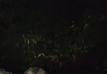 En la noche del 27 de junio, el Sistema Integrado de Seguridad ECU 911 recibió un llamado de emergencia que activó de inmediato la unidad de Intervención Rápida (IR). El reporte indicaba un accidente en Pallatanga, donde un vehículo había perdido el control por lo que cayó en una quebrada cercana a un río.