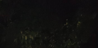 En la noche del 27 de junio, el Sistema Integrado de Seguridad ECU 911 recibió un llamado de emergencia que activó de inmediato la unidad de Intervención Rápida (IR). El reporte indicaba un accidente en Pallatanga, donde un vehículo había perdido el control por lo que cayó en una quebrada cercana a un río.