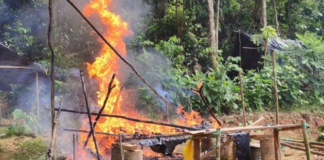 Con la participación de 1 800 uniformados, el Ejército Ecuatoriano desplegó un amplio operativo militar en las provincias amazónicas de Orellana y Sucumbíos, con el objetivo de frenar las operaciones de grupos dedicados al contrabando de hidrocarburos y la minería ilegal.