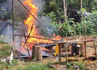 Con la participación de 1 800 uniformados, el Ejército Ecuatoriano desplegó un amplio operativo militar en las provincias amazónicas de Orellana y Sucumbíos, con el objetivo de frenar las operaciones de grupos dedicados al contrabando de hidrocarburos y la minería ilegal.