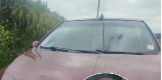 En una operación policial ejecutada en el cantón Guamote, provincia de Chimborazo, el 30 de mayo fue capturado Alexis R. Q., señalado como uno de los presuntos autores de un asalto violento ocurrido en Cuenca la madrugada del 29 de mayo.